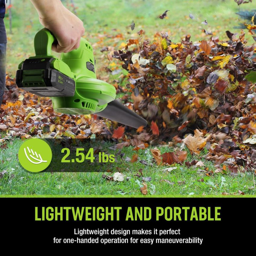 WORKPRO Mini soffiatore per foglie senza fili leggero da 20 V con batteria e caricabatterie, controllo a 2 velocità moderno B0600L303 attrezzo
