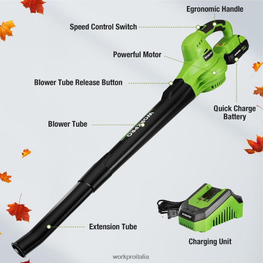 WORKPRO Mini soffiatore per foglie senza fili leggero da 20 V con batteria e caricabatterie, controllo a 2 velocità moderno B0600L303 attrezzo
