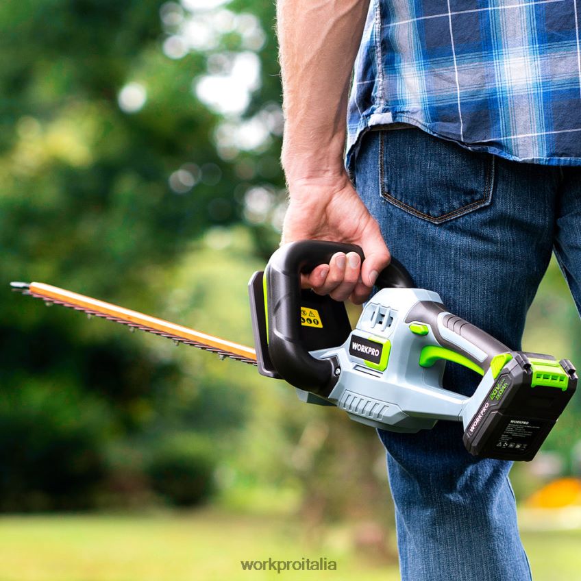 WORKPRO Tagliasiepi cordless da 20 V con lame a doppia azione, attrezzo da giardinaggio elettrico, batteria da 2,0 Ah e caricabatterie rapido da 1 ora inclusi moderno B0600L295 attrezzo
