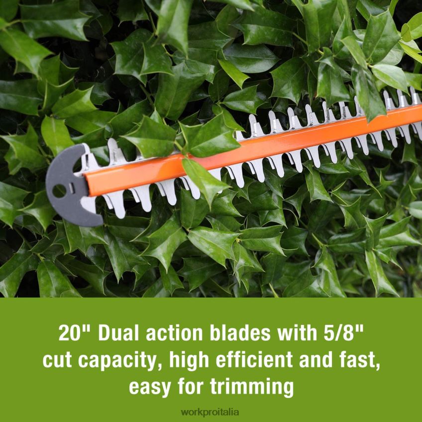 WORKPRO Tagliasiepi cordless da 20 V con lame a doppia azione, attrezzo da giardinaggio elettrico, batteria da 2,0 Ah e caricabatterie rapido da 1 ora inclusi moderno B0600L295 attrezzo