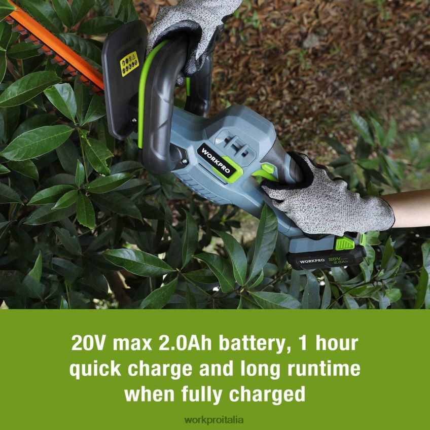WORKPRO Tagliasiepi cordless da 20 V con lame a doppia azione, attrezzo da giardinaggio elettrico, batteria da 2,0 Ah e caricabatterie rapido da 1 ora inclusi moderno B0600L295 attrezzo