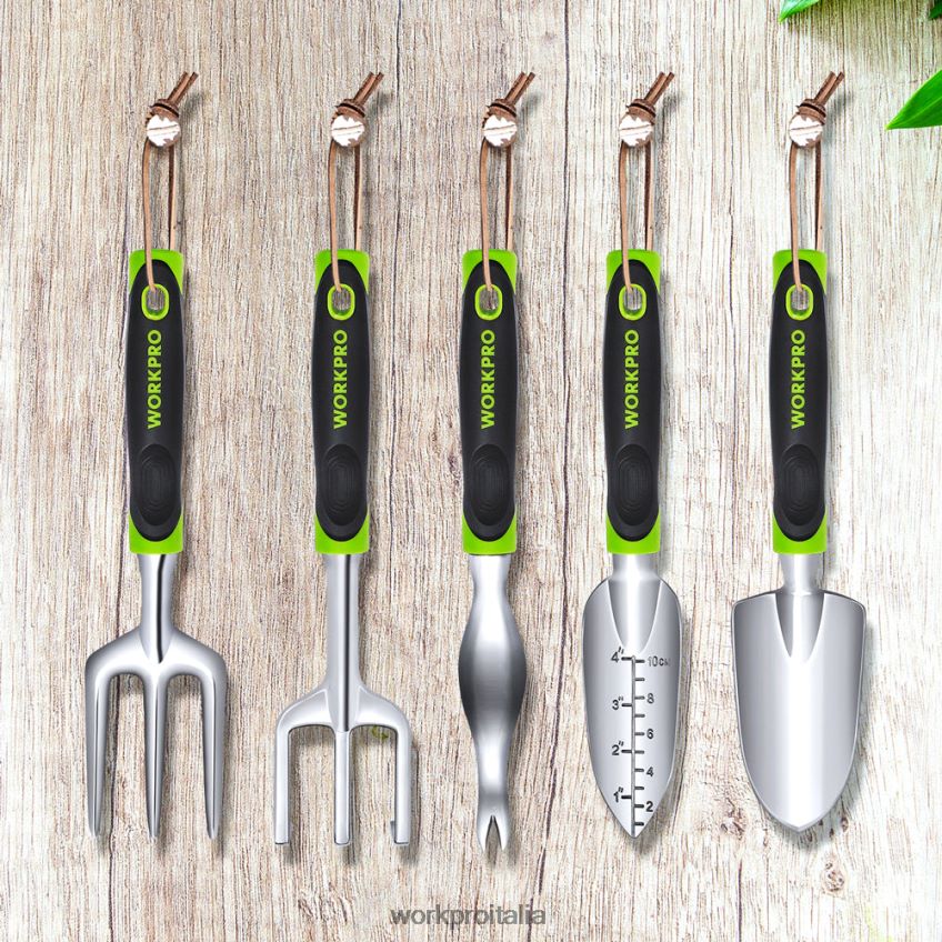 WORKPRO Set di 5 attrezzi da giardino per esterni, regali per lavori di giardinaggio moderno B0600L276 attrezzo