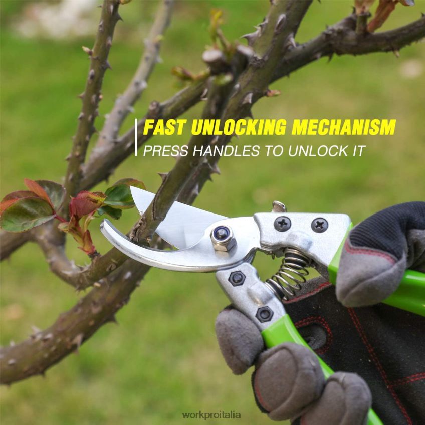 WORKPRO Set di 7 attrezzi da giardino resistenti in acciaio inossidabile moderno B0600L274 attrezzo