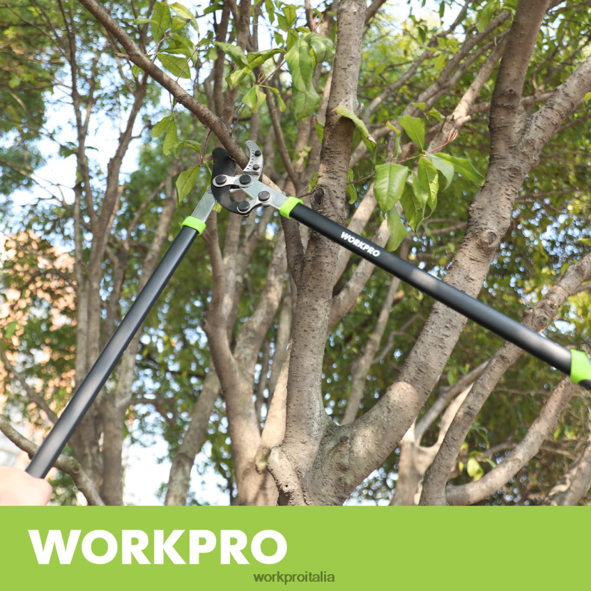WORKPRO Troncarami a incudine, tagliarami da 32 pollici con azione composta, tagliaerba da giardino per carichi pesanti moderno B0600L282 attrezzo