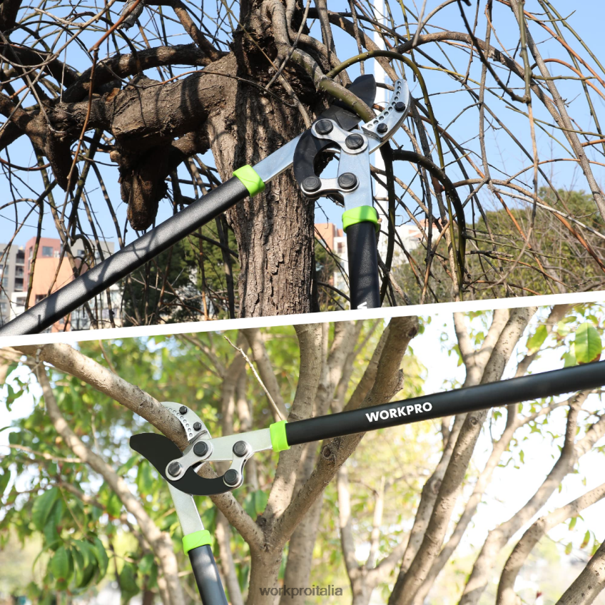 WORKPRO Troncarami a incudine, tagliarami da 32 pollici con azione composta, tagliaerba da giardino per carichi pesanti moderno B0600L282 attrezzo