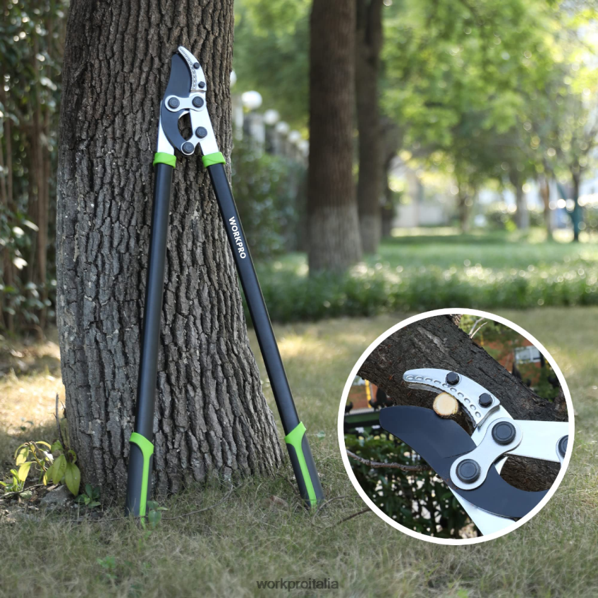 WORKPRO Troncarami a incudine, tagliarami da 32 pollici con azione composta, tagliaerba da giardino per carichi pesanti moderno B0600L282 attrezzo