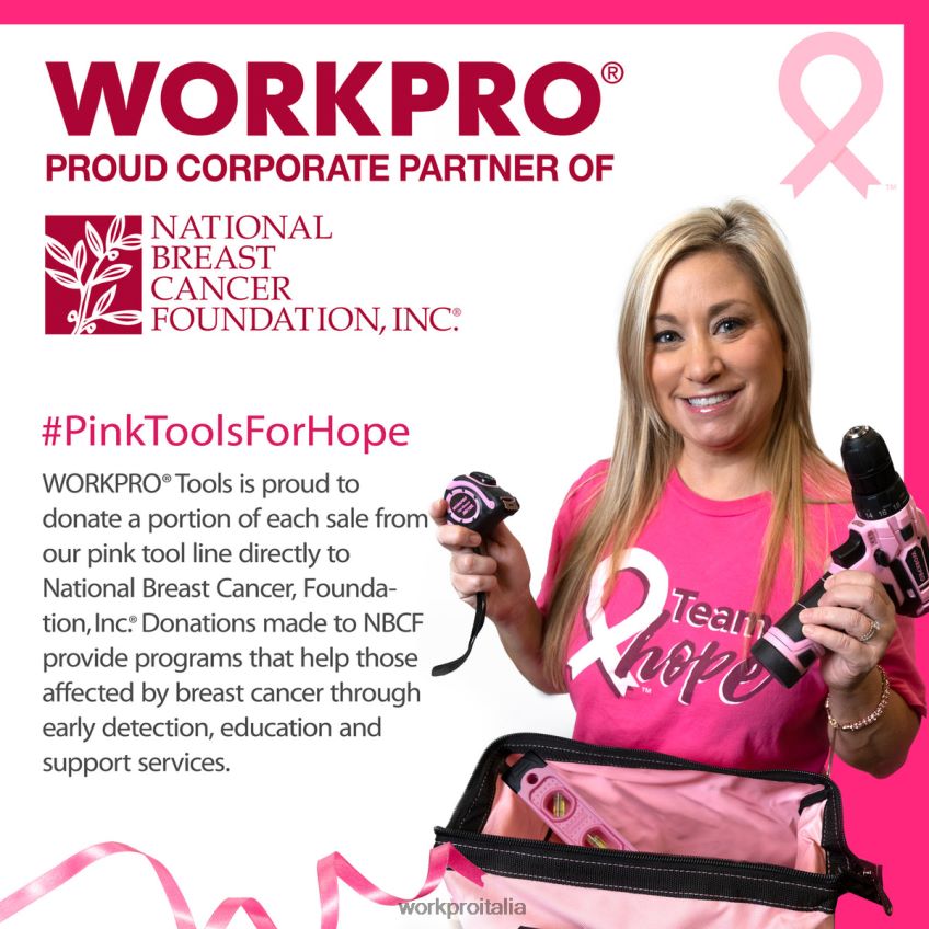 WORKPRO Kit di utensili domestici da 10 pezzi per donna con set porta punte per cacciavite rosa B0600L243 attrezzo