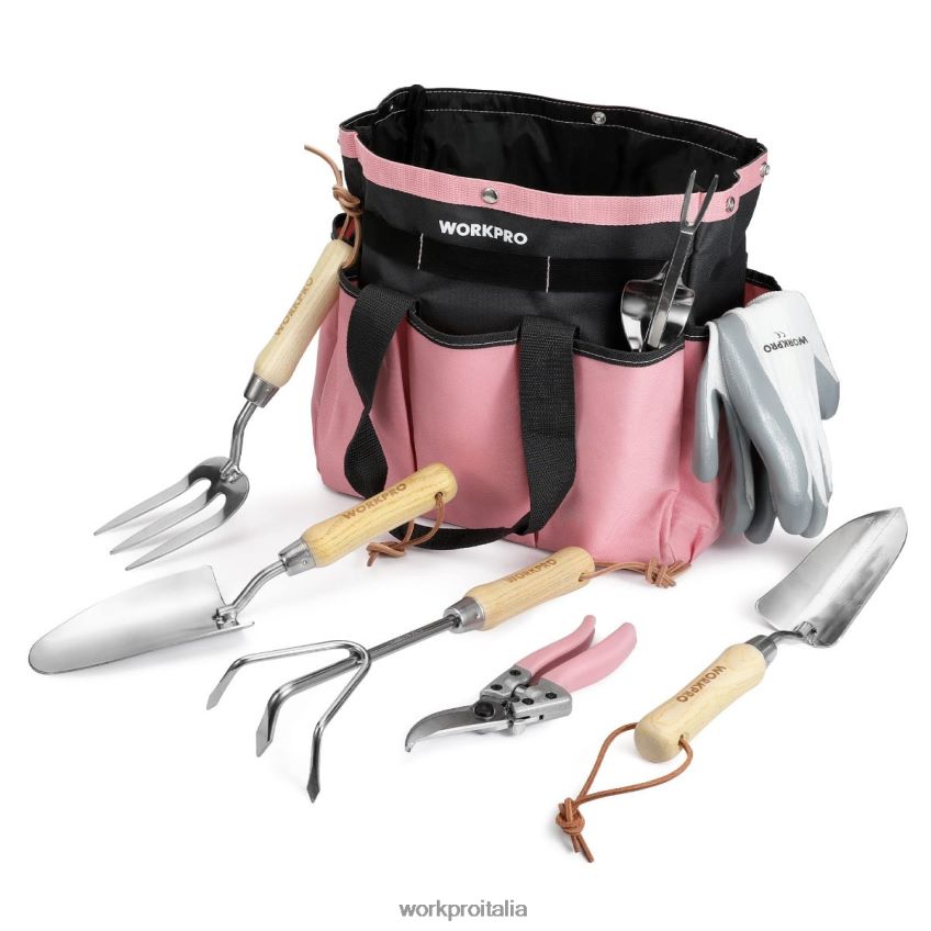 WORKPRO Set di 7 attrezzi da giardino, attrezzi da giardinaggio pesanti in acciaio inossidabile rosa B0600L252 attrezzo