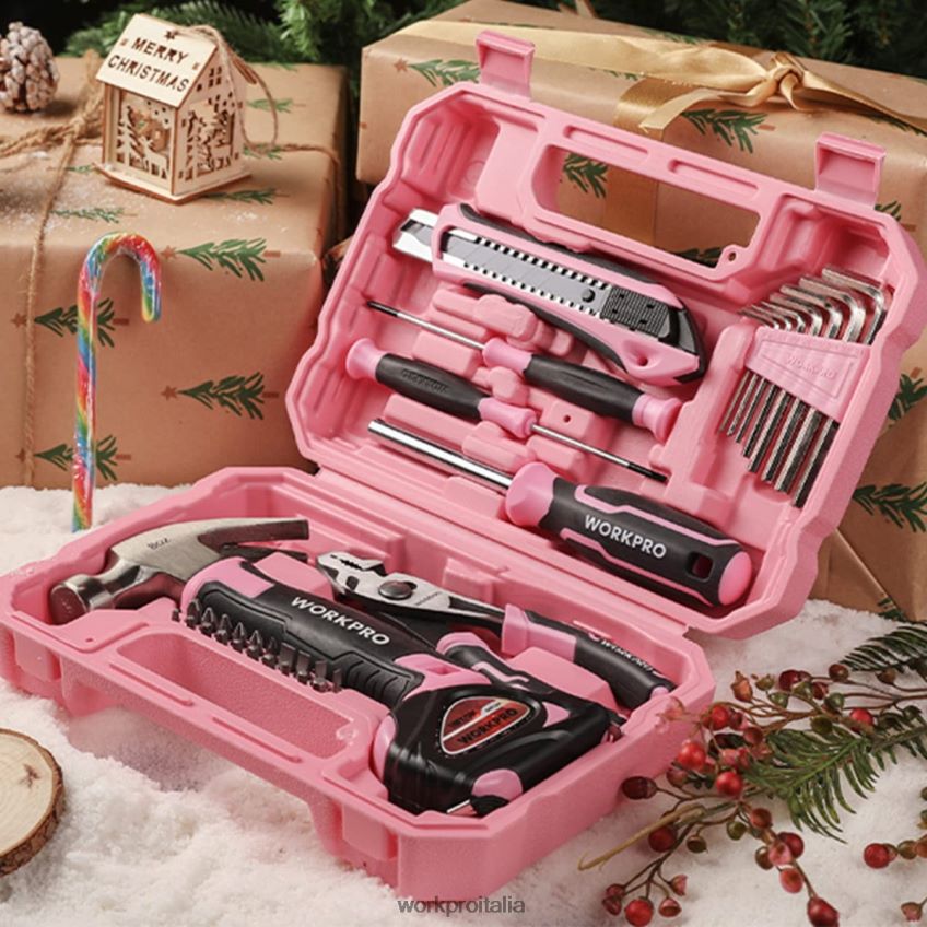 WORKPRO Set di utensili domestici da 35 pezzi con cassetta degli attrezzi rosa/blu B0600L246 attrezzo