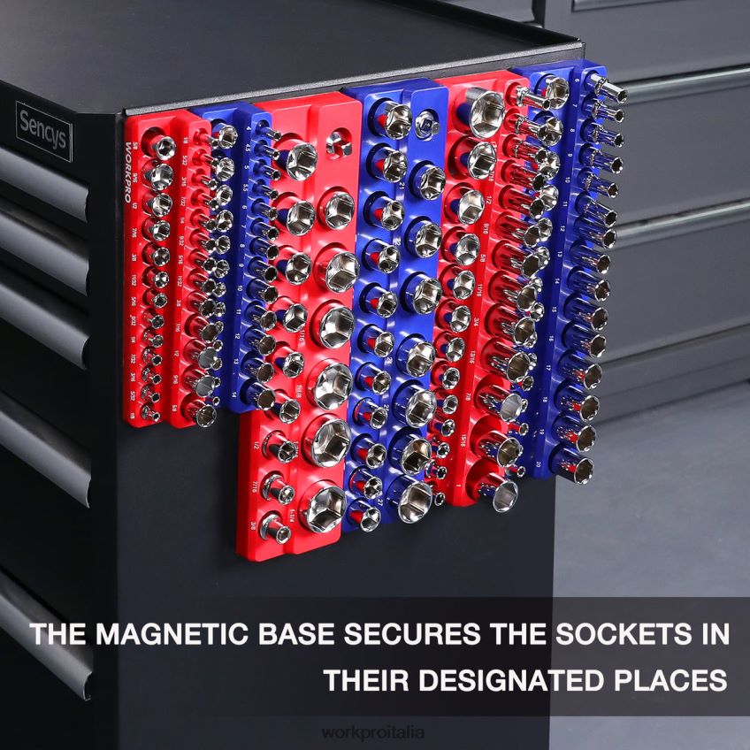 WORKPRO Set di 6 organizer con prese magnetiche moderno B0600L126 attrezzo