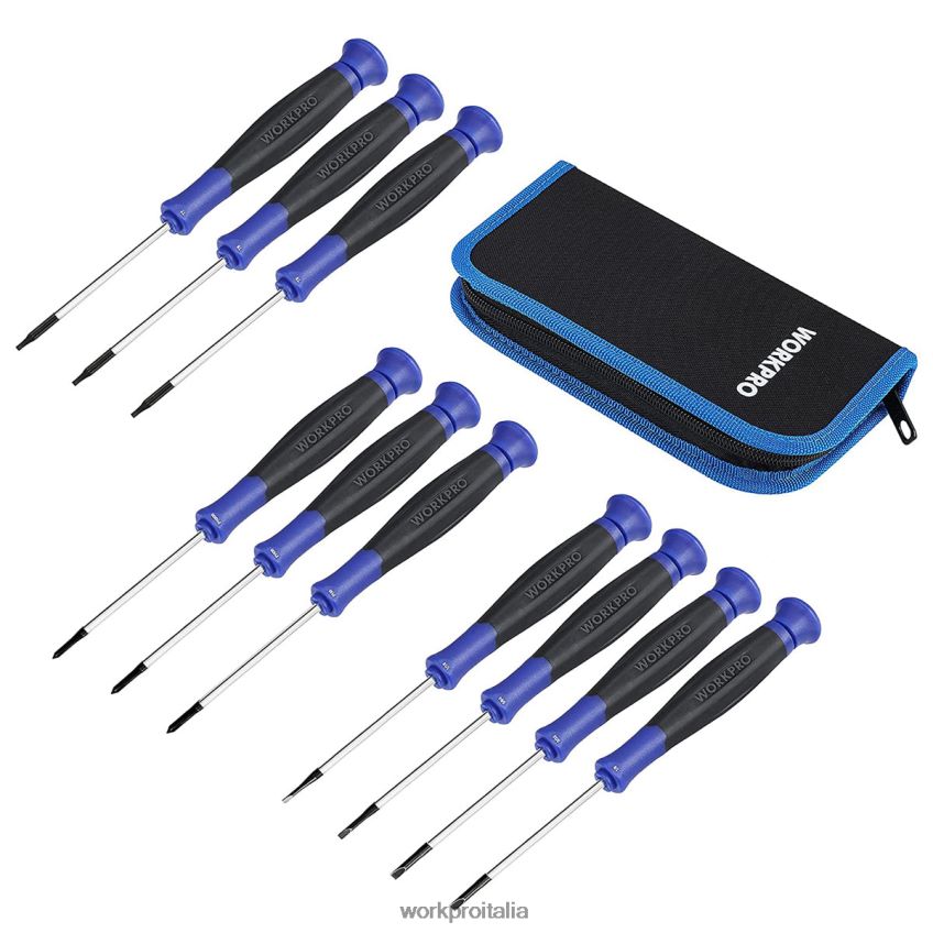 WORKPRO Set da 10 cacciaviti di precisione con custodia utile B0600L100 attrezzo